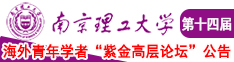 操逼视频免费观看国产南京理工大学第十四届海外青年学者紫金论坛诚邀海内外英才！